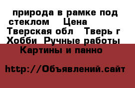 природа в рамке под стеклом  › Цена ­ 3 500 - Тверская обл., Тверь г. Хобби. Ручные работы » Картины и панно   